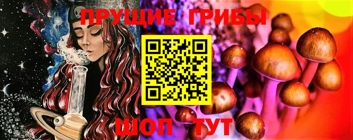 Новодвинск  Галлюциногенные грибы Psilocybine cubensis  цена наркотик  Вход с VPN 