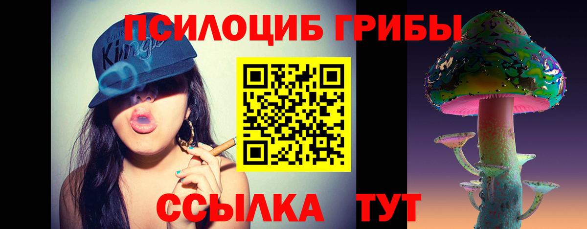 Галлюциногенные грибы GOLDEN TEACHER Новодвинск