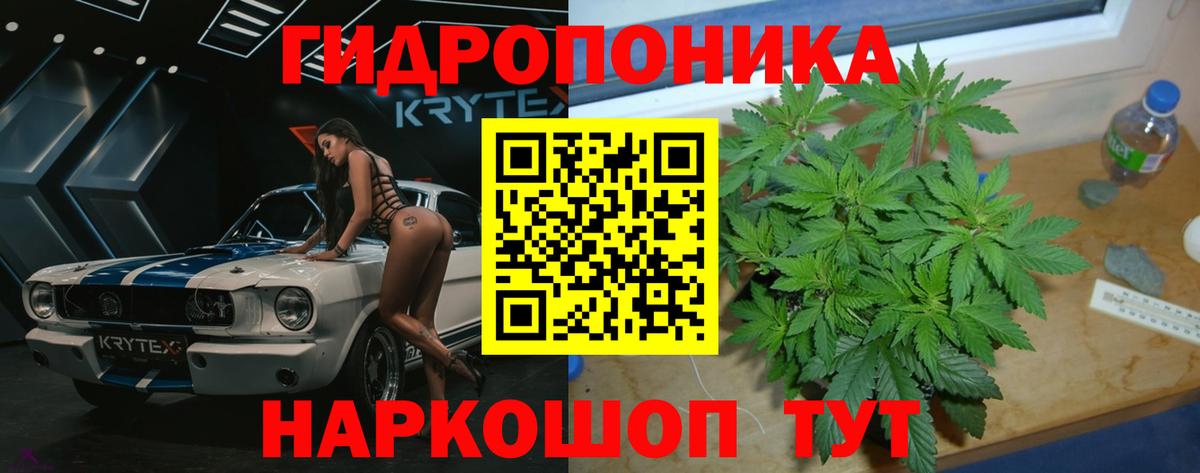 Бошки Шишки сатива Новодвинск